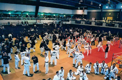 Il Ju-Jitsu infatti,  praticato in un contesto collettivo