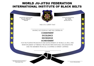 Diploma I.I.B.B.