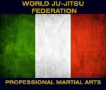 Professional Martial Arts