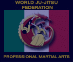 Professional Martial Arts