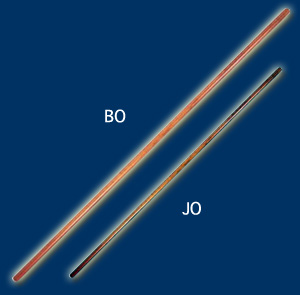 Il Bo e il Jo