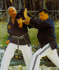 Soke Robert Clark in azione