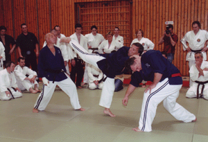 Soke Robert Clark in azione
